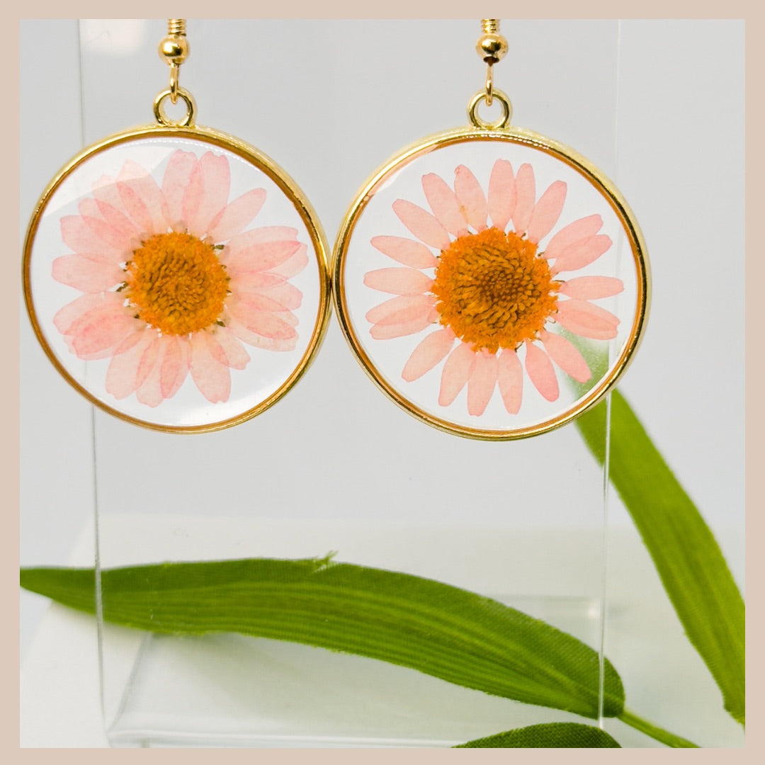 Pink Daisy Circular Resin Drops - Botanical