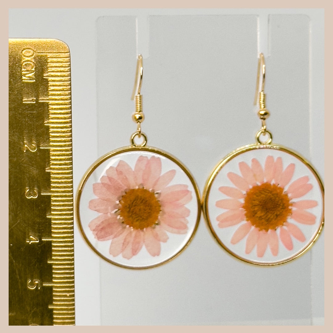 Pink Daisy Circular Resin Drops - Botanical