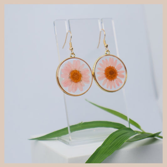 Pink Daisy Circular Resin Drops - Botanical